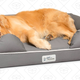 PetFusion WATERPROOF Memory Foam Dog Bed, Large | $91 | Amazon